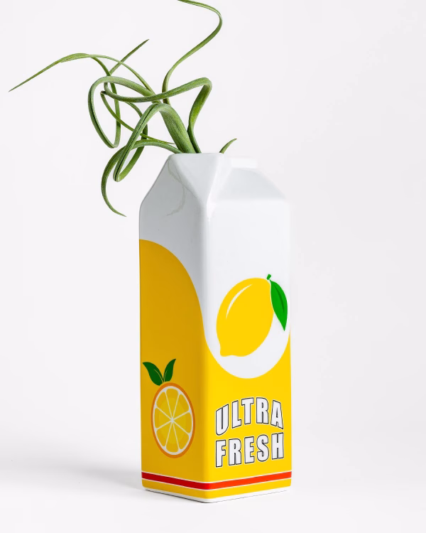 Ceramic Lemonade Carton