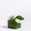 Little Croc Planter