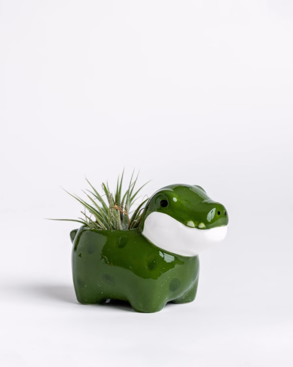 Little Croc Planter