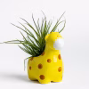 Little Giraffe Planter