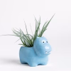 Little Hippo Planter