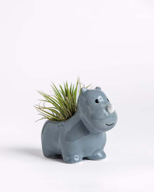 Little Rhino Planter