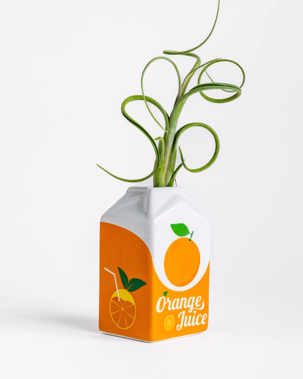 Ceramic Orange Juice Carton