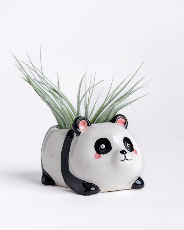 Mini Panda Planter