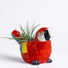 Parrot Planter