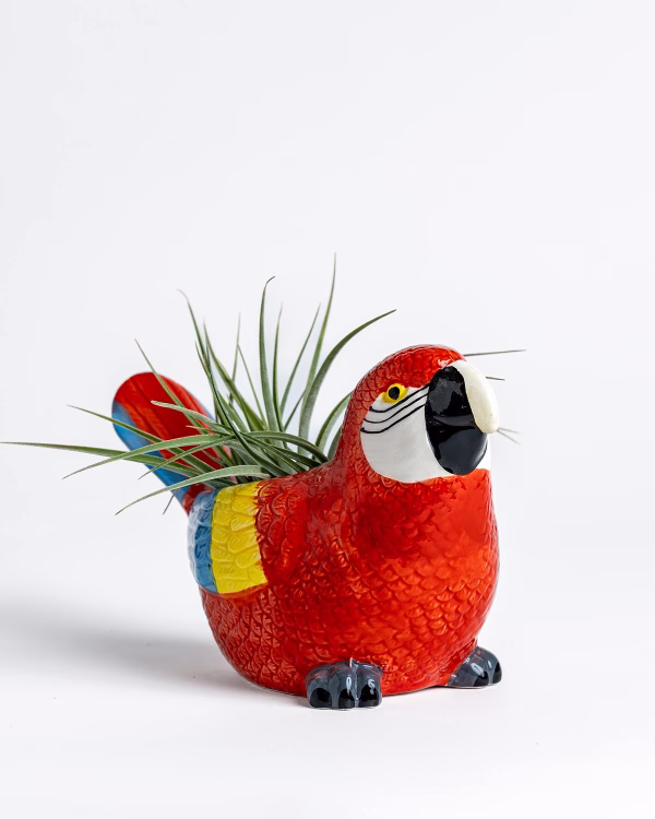 Parrot Planter