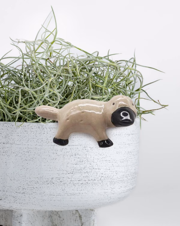 Platypus Pot Hanger
