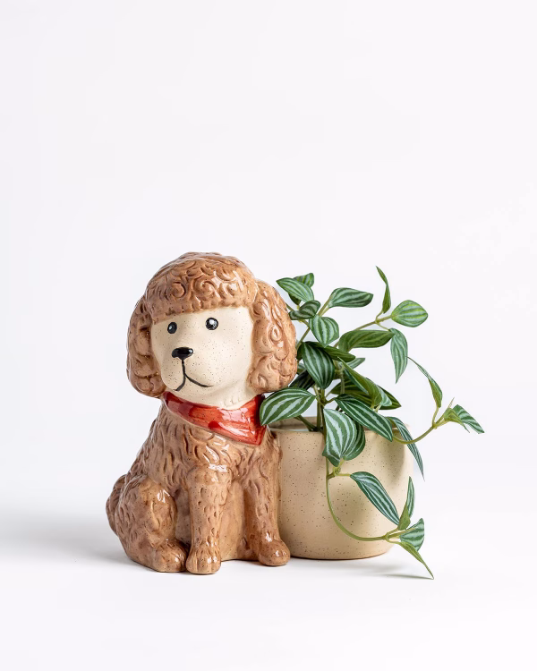 Poodle Planter