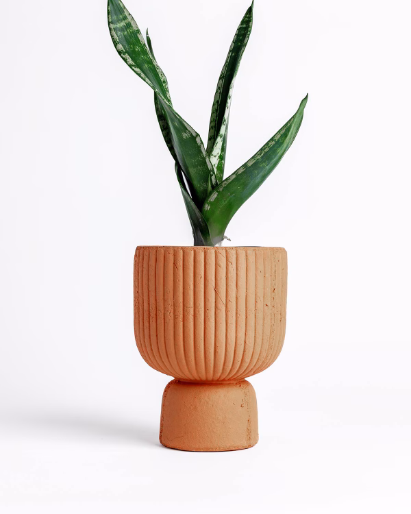 Pedestal Pot