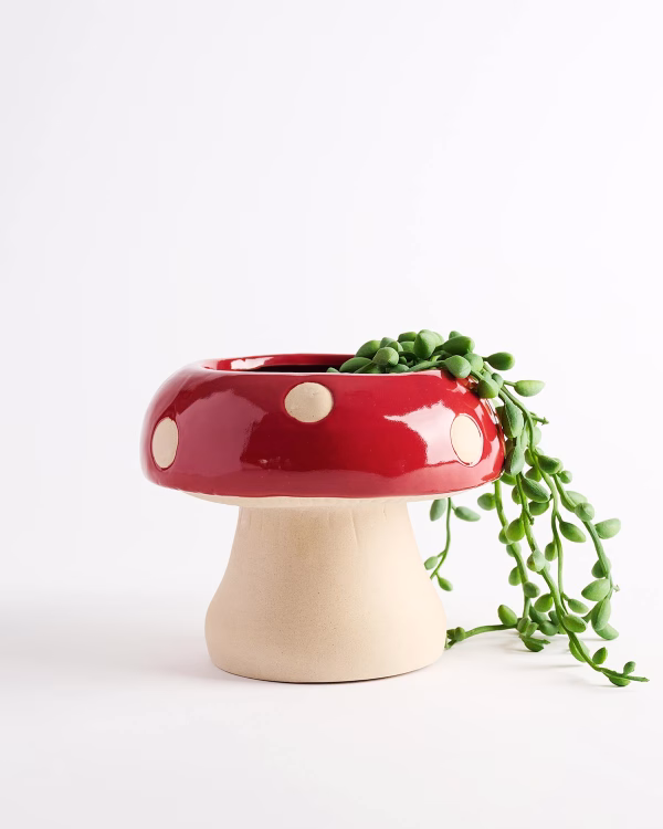 Big Toadstool Planter