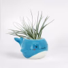 Blue Whale Planter