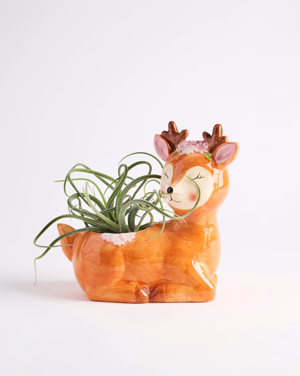 Doe Planter
