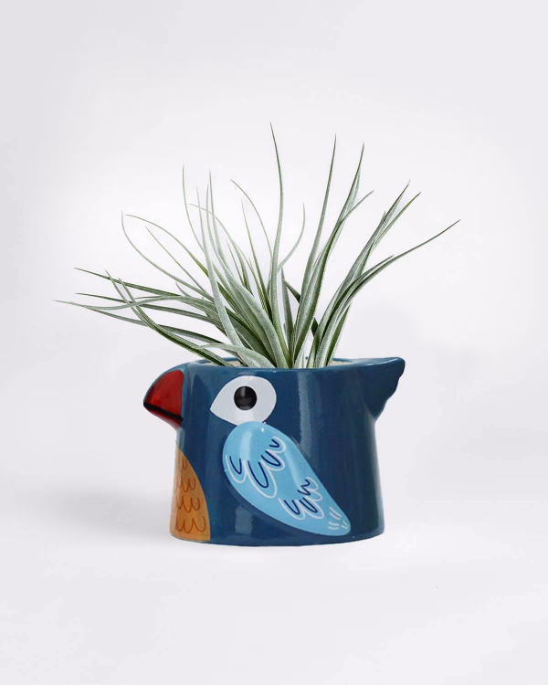 Little Bird Planter – Blue