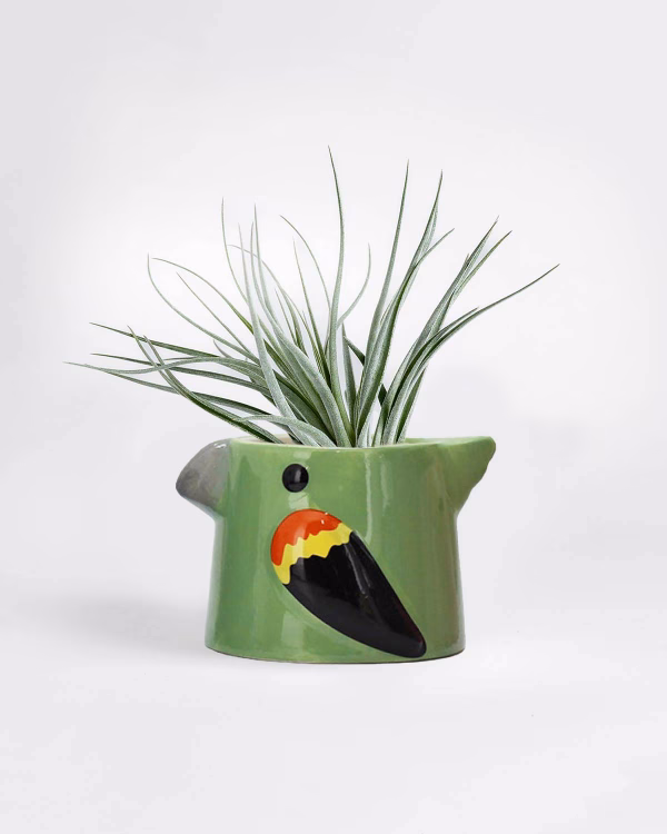 Little Bird Planter – Green