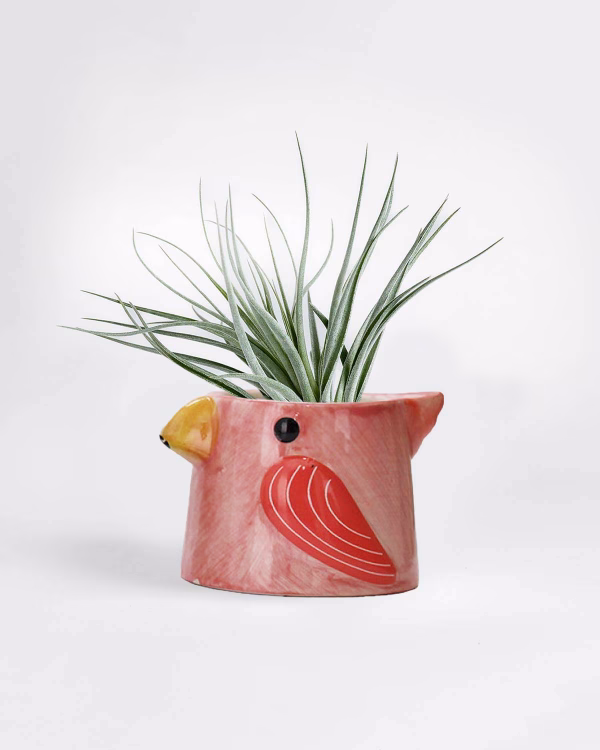 Little Bird Planter – Pink