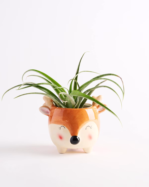 Reindeer Planter