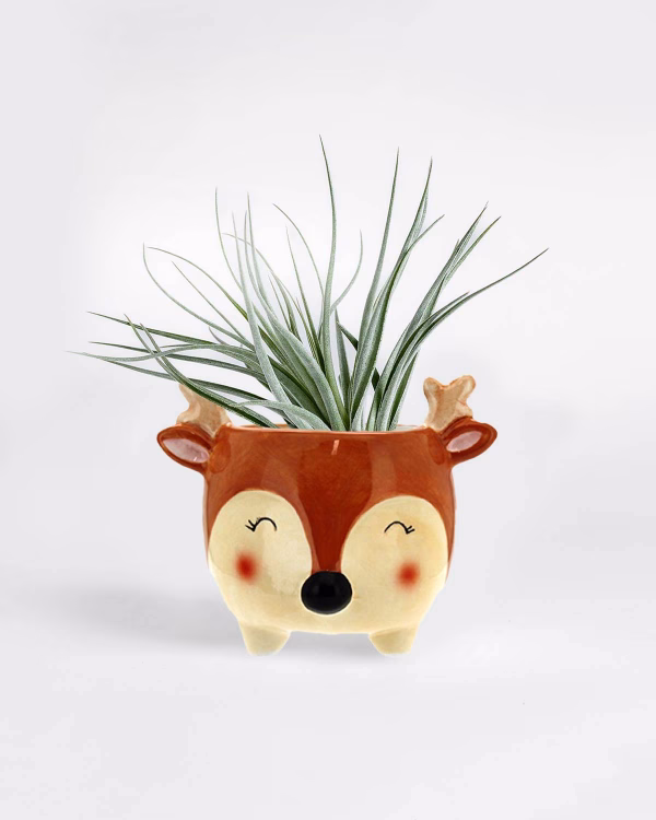 Reindeer Planter