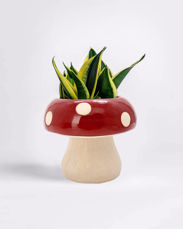 Big Toadstool Planter