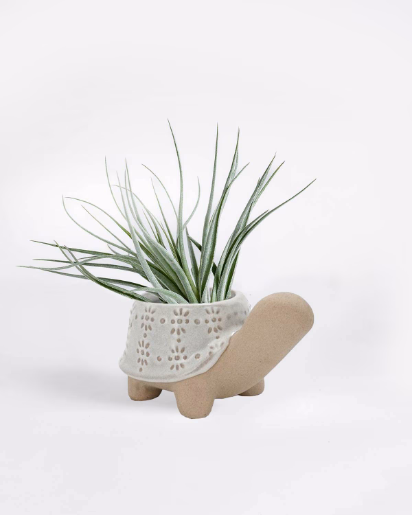 Little Turtle Planter