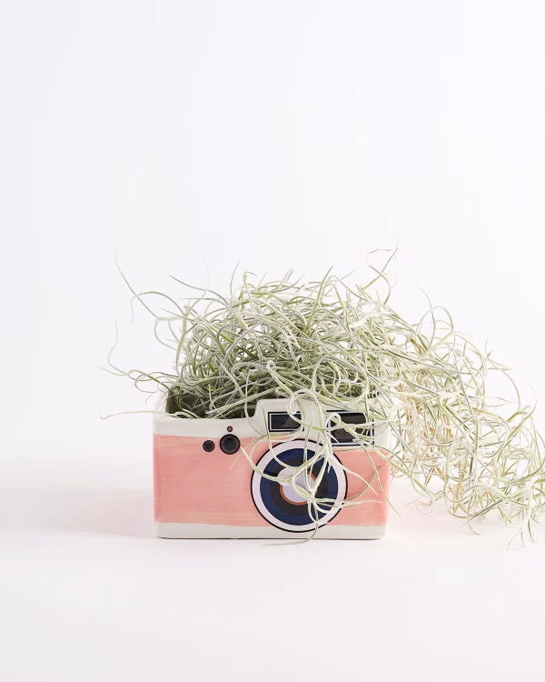 Retro Camera Planter