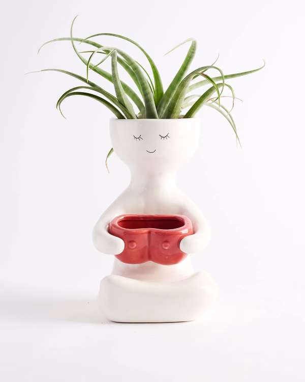 Kinky Lady Planter