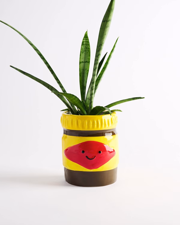 Oz Icon Planter