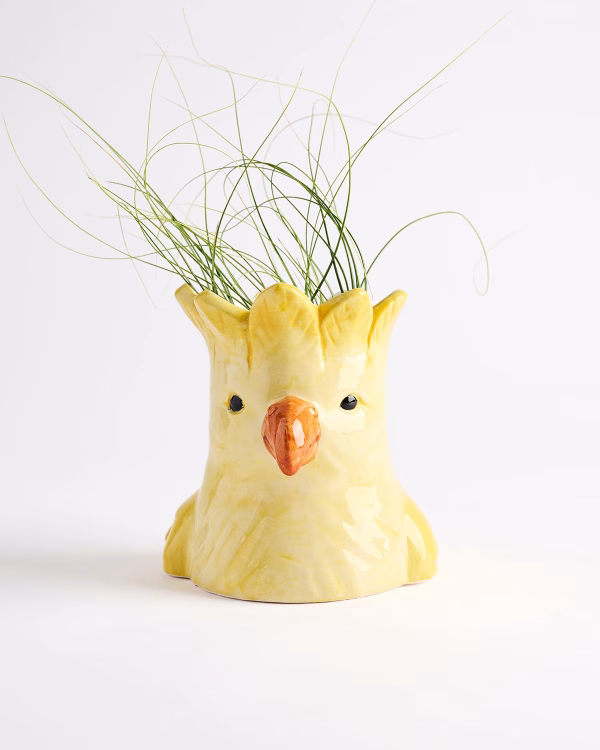 Perdy Parrot Planter – Yellow