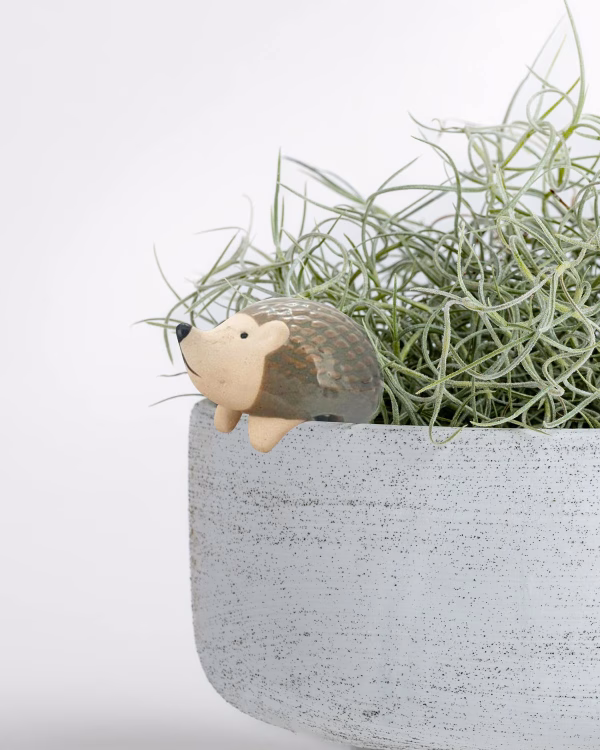 Hedgehog Pot Hanger