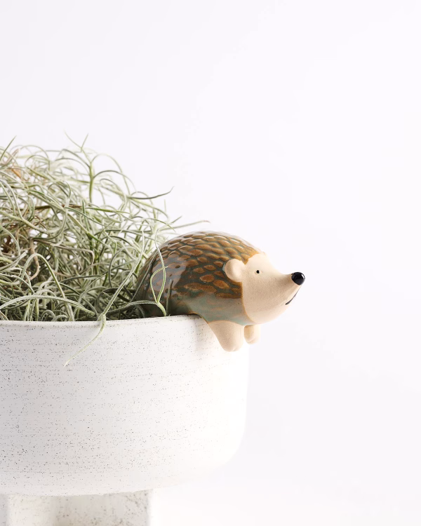 Hedgehog Pot Hanger