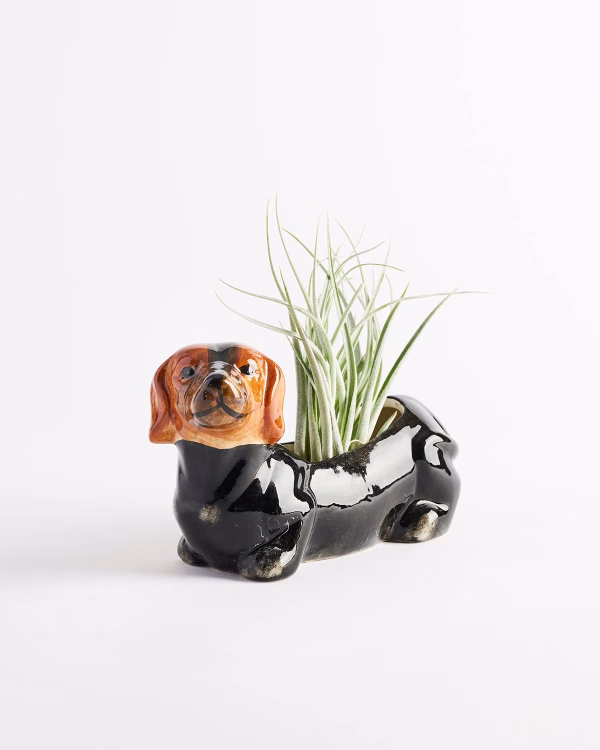 Dachshund Planter - Mini