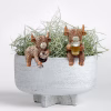 Boozy Highland Cow Pot Hanger