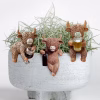Boozy Highland Cow Pot Hanger
