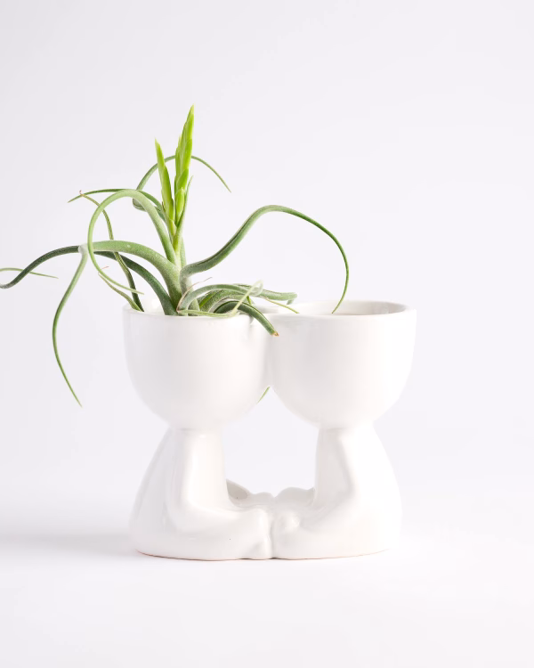 Couple Planter