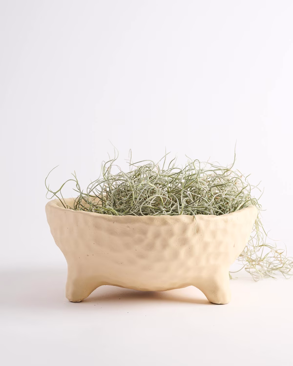 Dimple Planter
