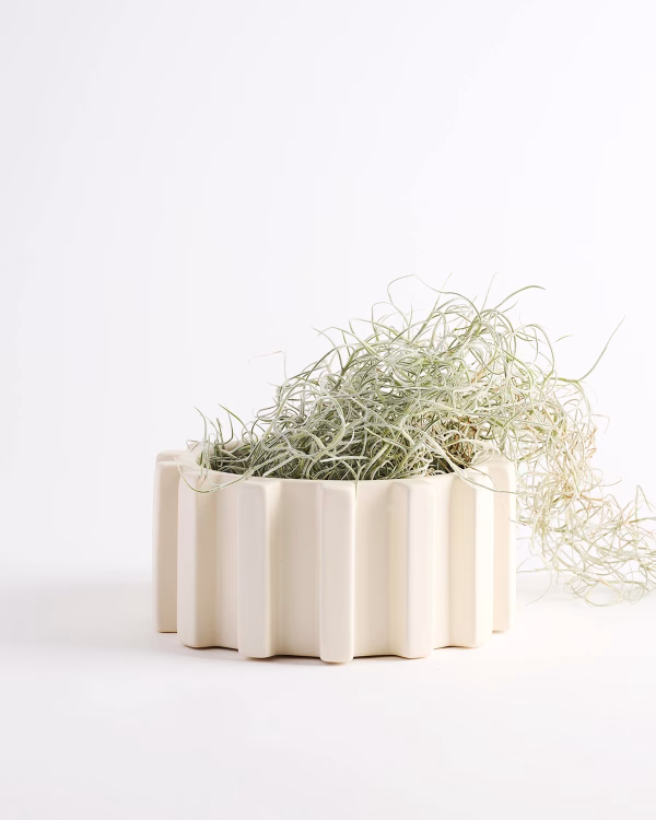 Kasper Planter