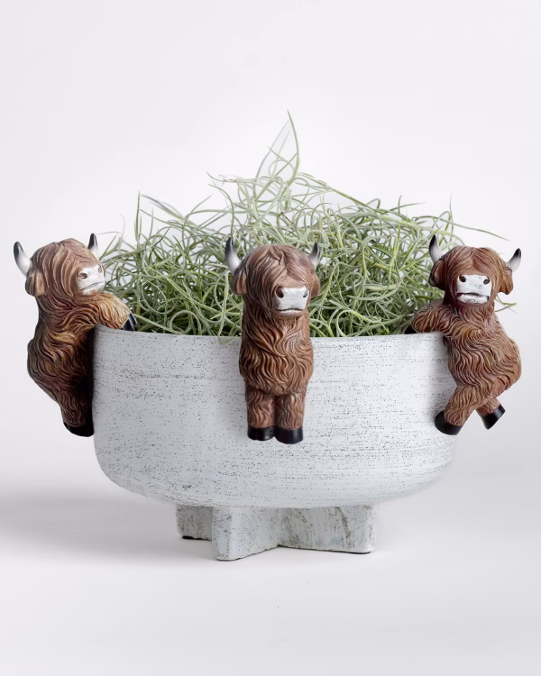 Highland Cow Pot Hanger