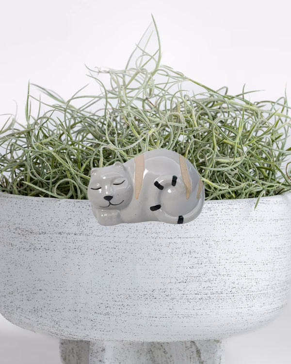 Cat Pot Hanger