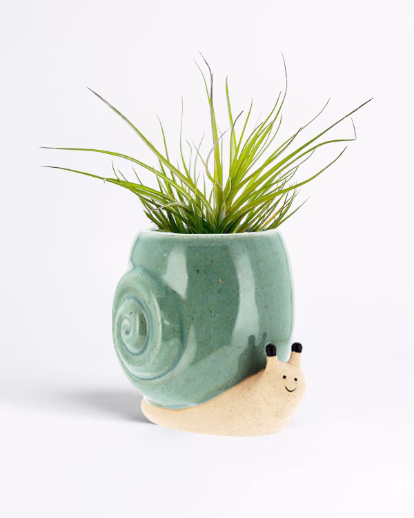 Snail Planter