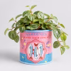 Sardine Can Planter