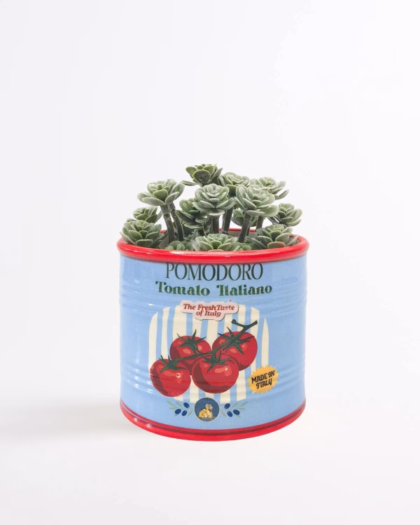 Tomato Can Planter