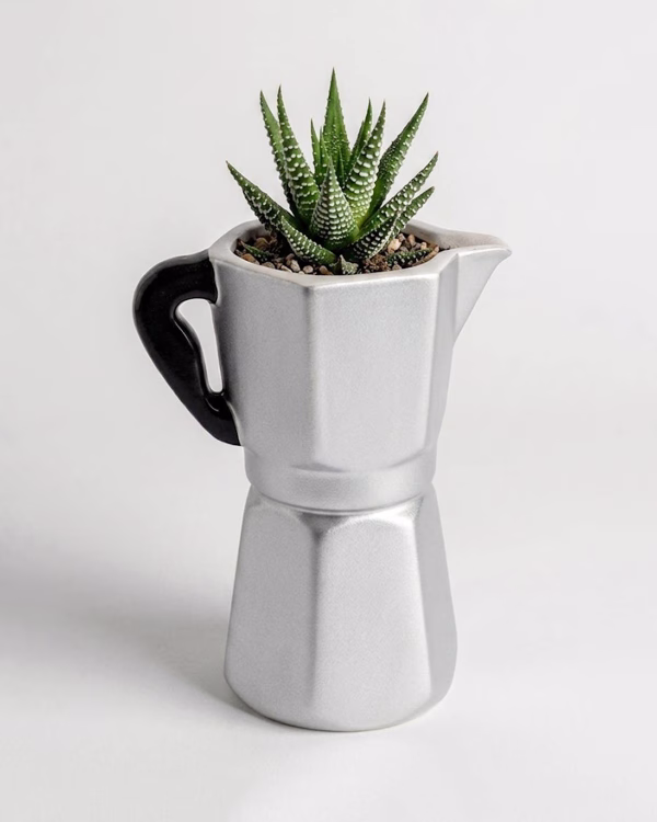Coffee Pot Planter