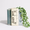 Dog Book Stack Planter