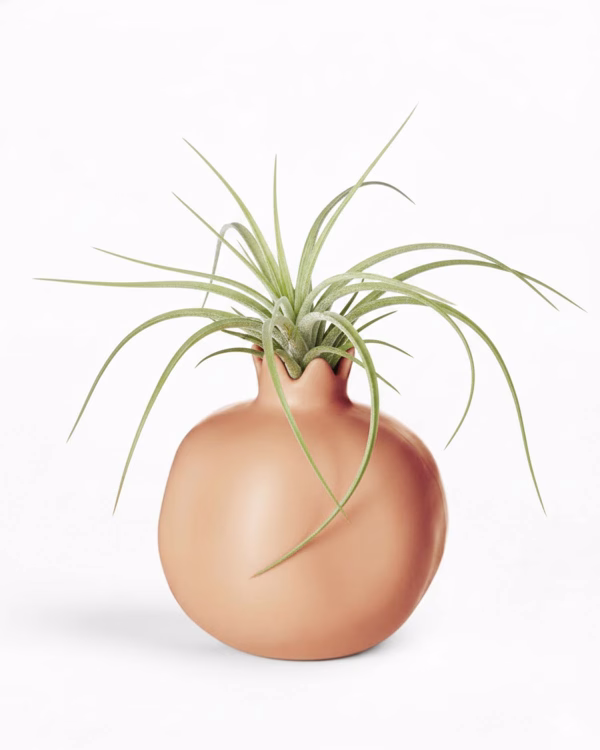 Pomegranate Vase – Small