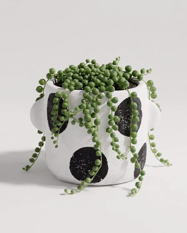 Albus Planter – Medium