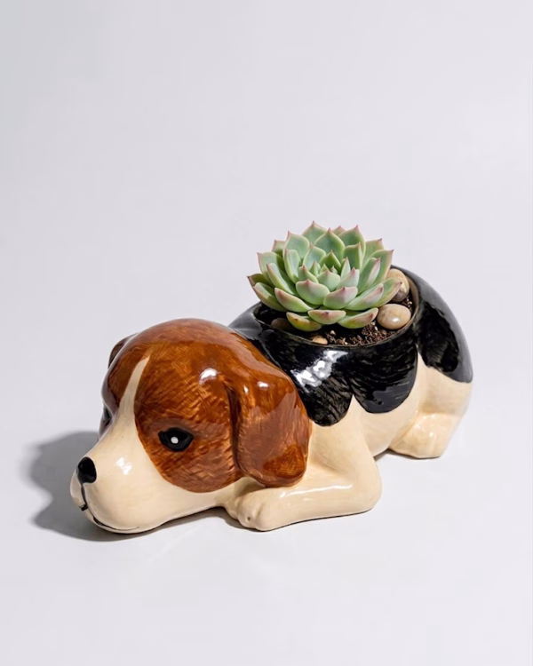 Benny the Beagle Planter
