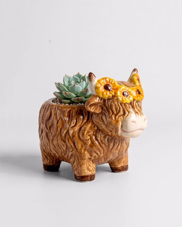 Highland Cow Sunflower Planter