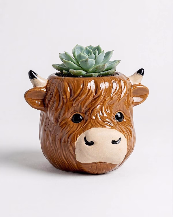 Highland Cow Head Planter