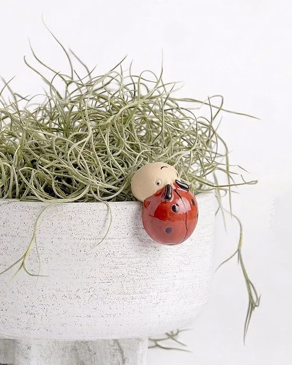 Ladybug Pot Hanger