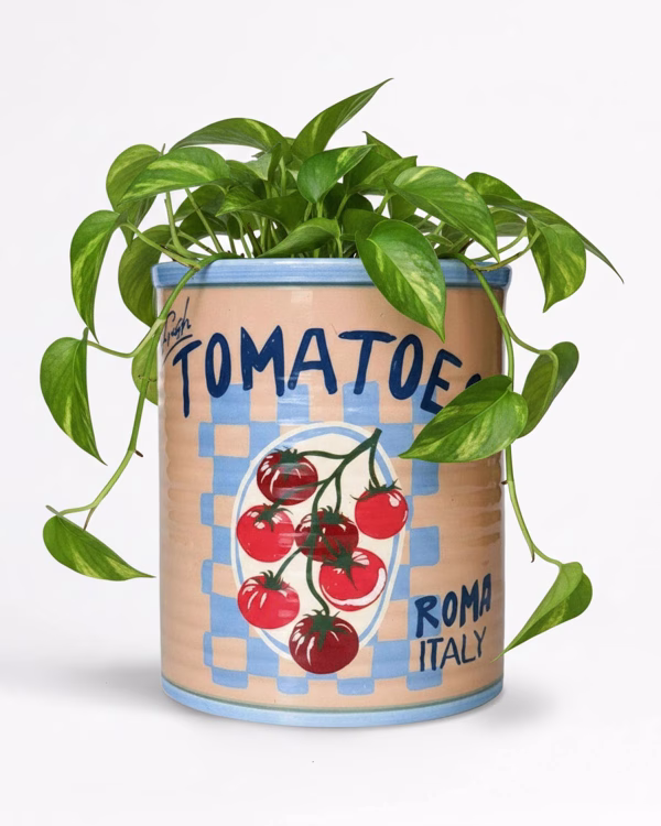 Tomatoes Can Planter