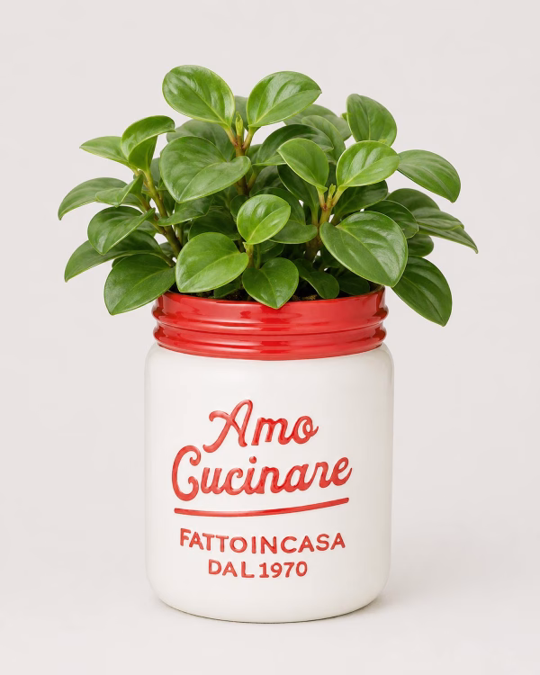 Cucina Pot